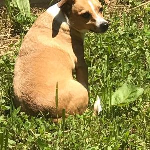 Meet your Posher, Joshua davis